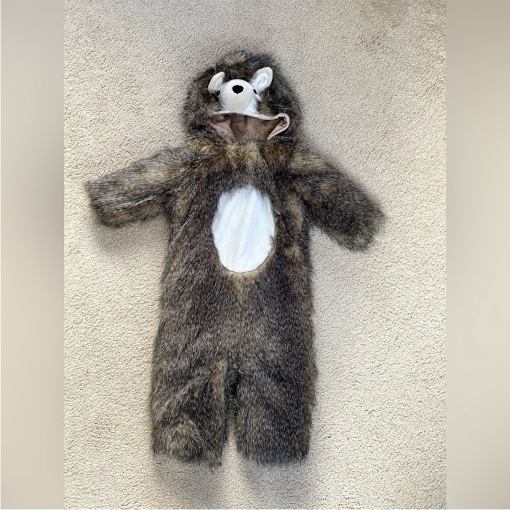 Pottery Barn Kids Rare Hedgehog Costume - LIKE NEW - Picture 2 of 6
